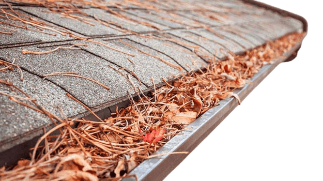 Clogged gutter